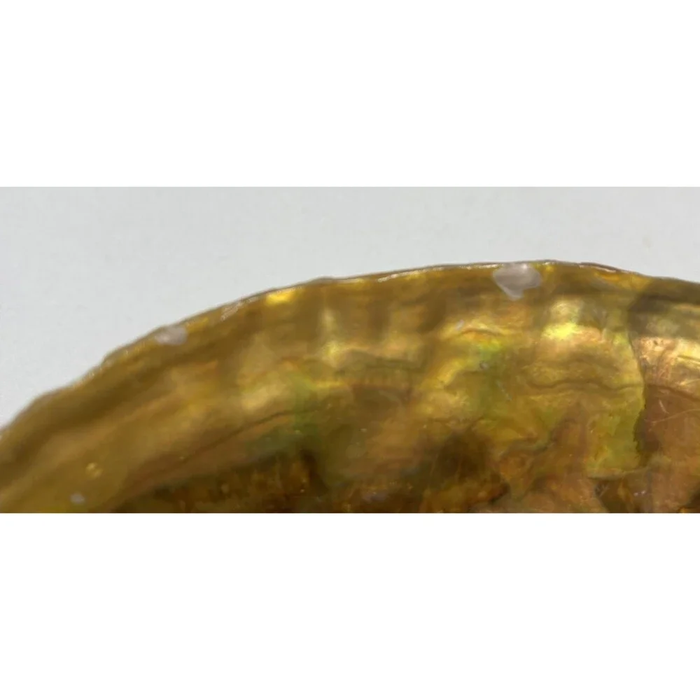 Vintage Iridescent Abalone Shell Trinket Candy Dish Footed Bowl Natural Decor